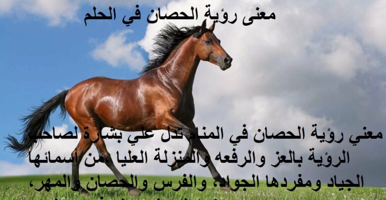 رؤية الخيل في المنام