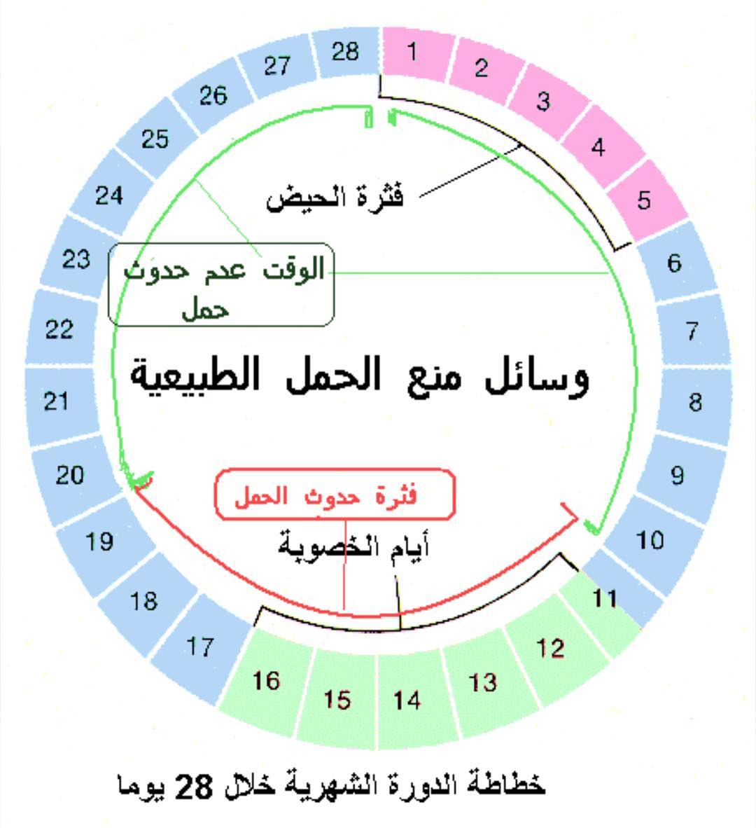 تجنب أيام الخصوبة.