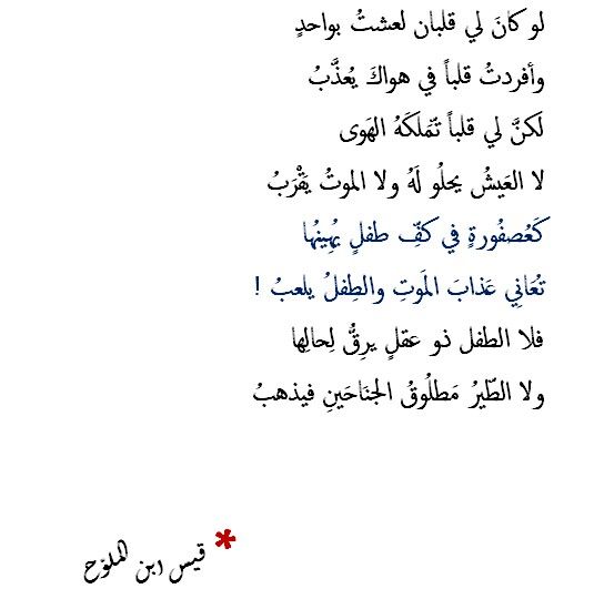 شعر مجنون ليلى