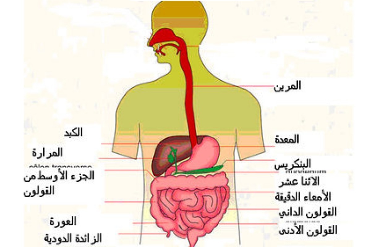 آلام البطن