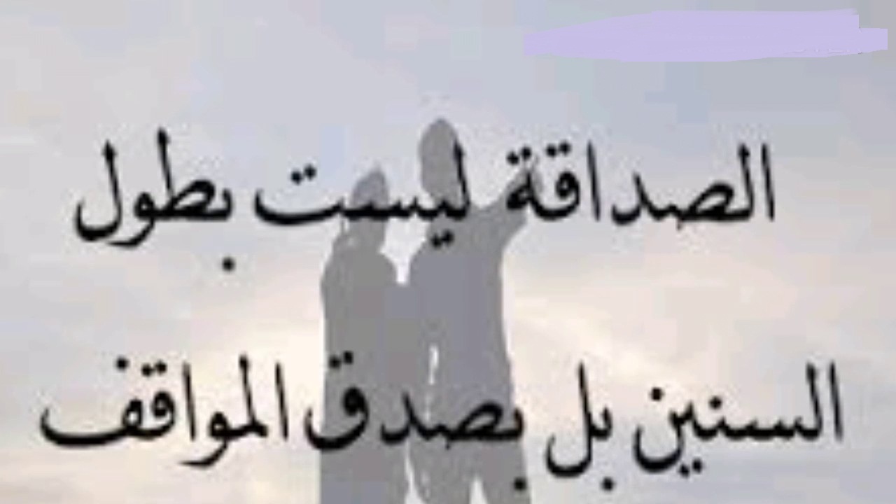 النقاء في الوفاء بين الأصدقاء.