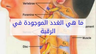 غدد الراقبة