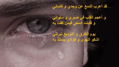 أبيات شعر حزينة.