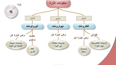 مكونات الذرة.