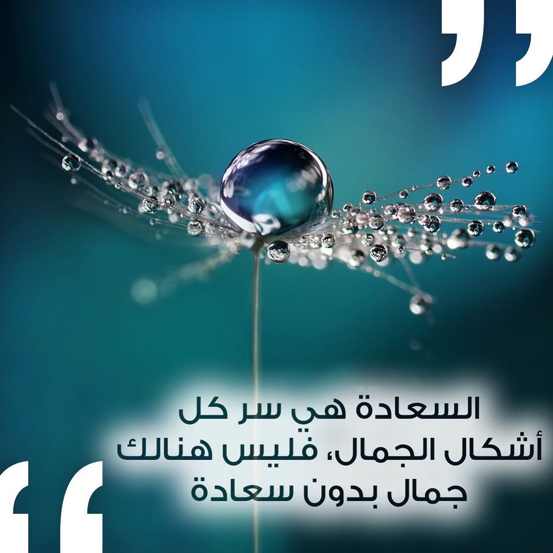 كلمات عن السعادة