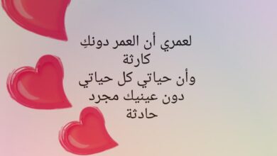 شعر حب جميل