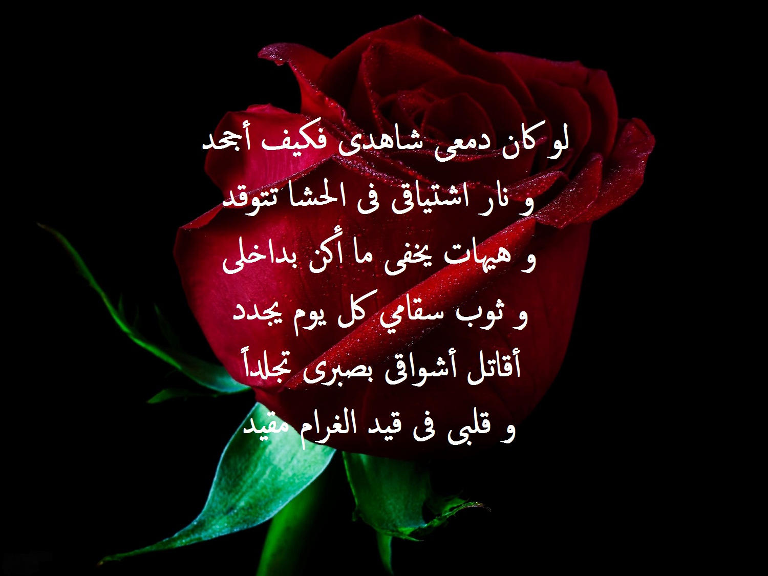 شعر يصف حزن الحب و العشق.