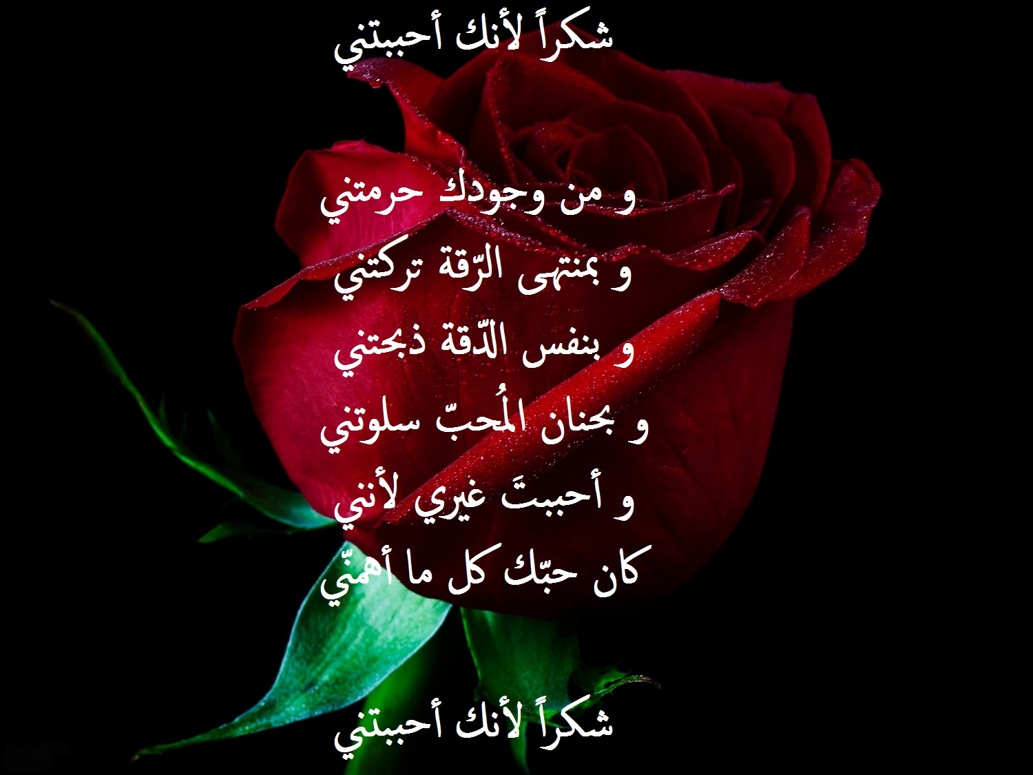 شعر حب حزين قصير جدا