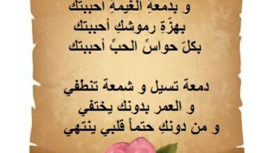 أبيات شعر رومانسية.