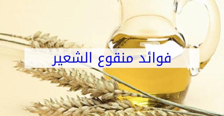 فائدة منقوع الشعير