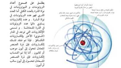 مكونات الذرة.