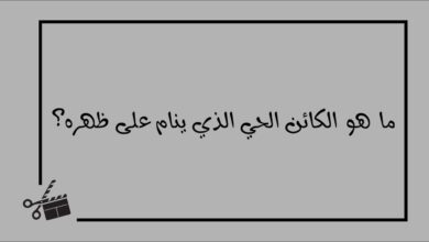 الوحيد الذي ينام على ظهره