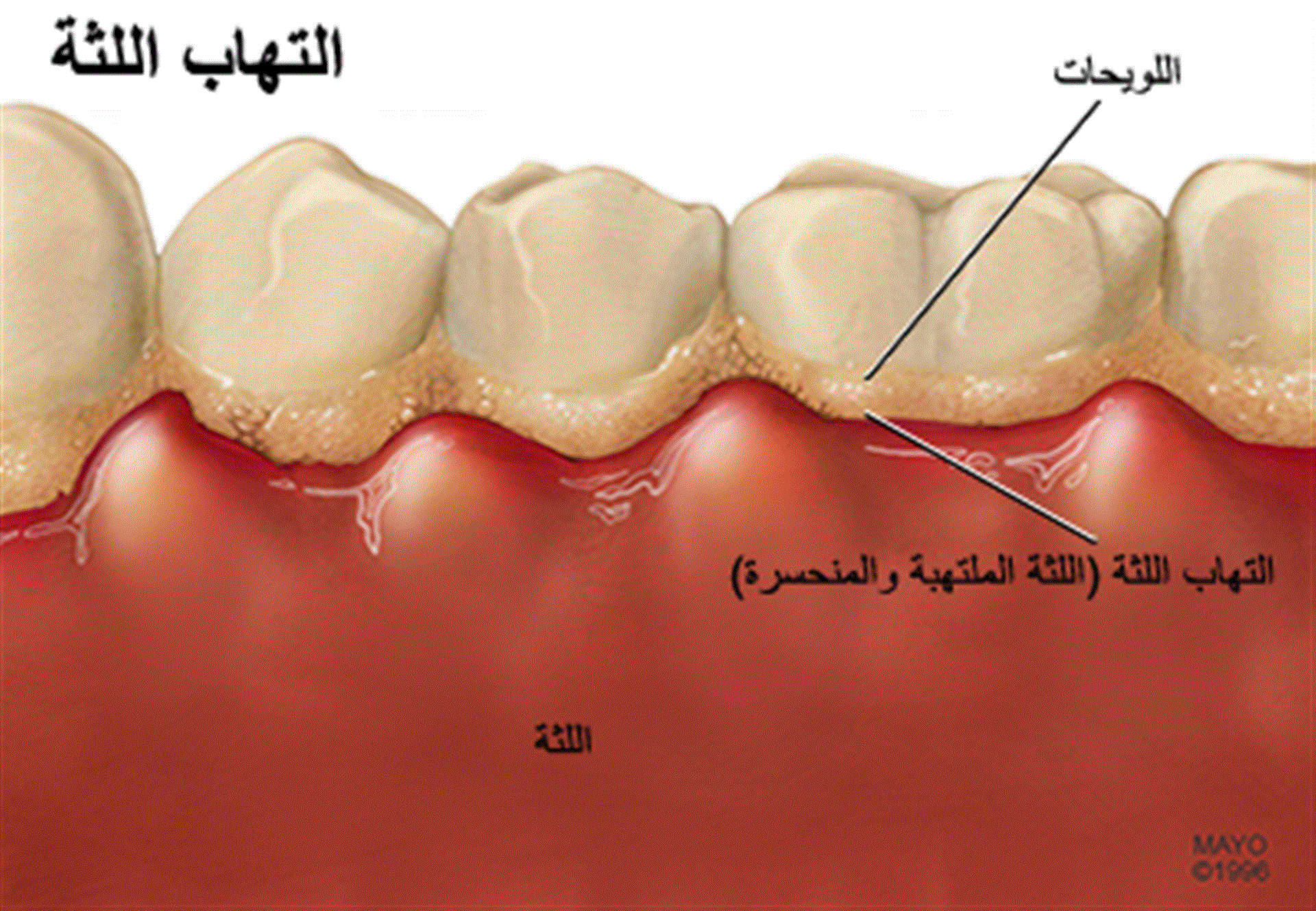 معلومات طبية