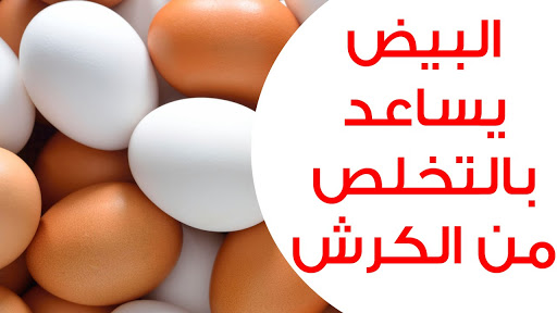 البيض يساعد في التخلص من الكرش