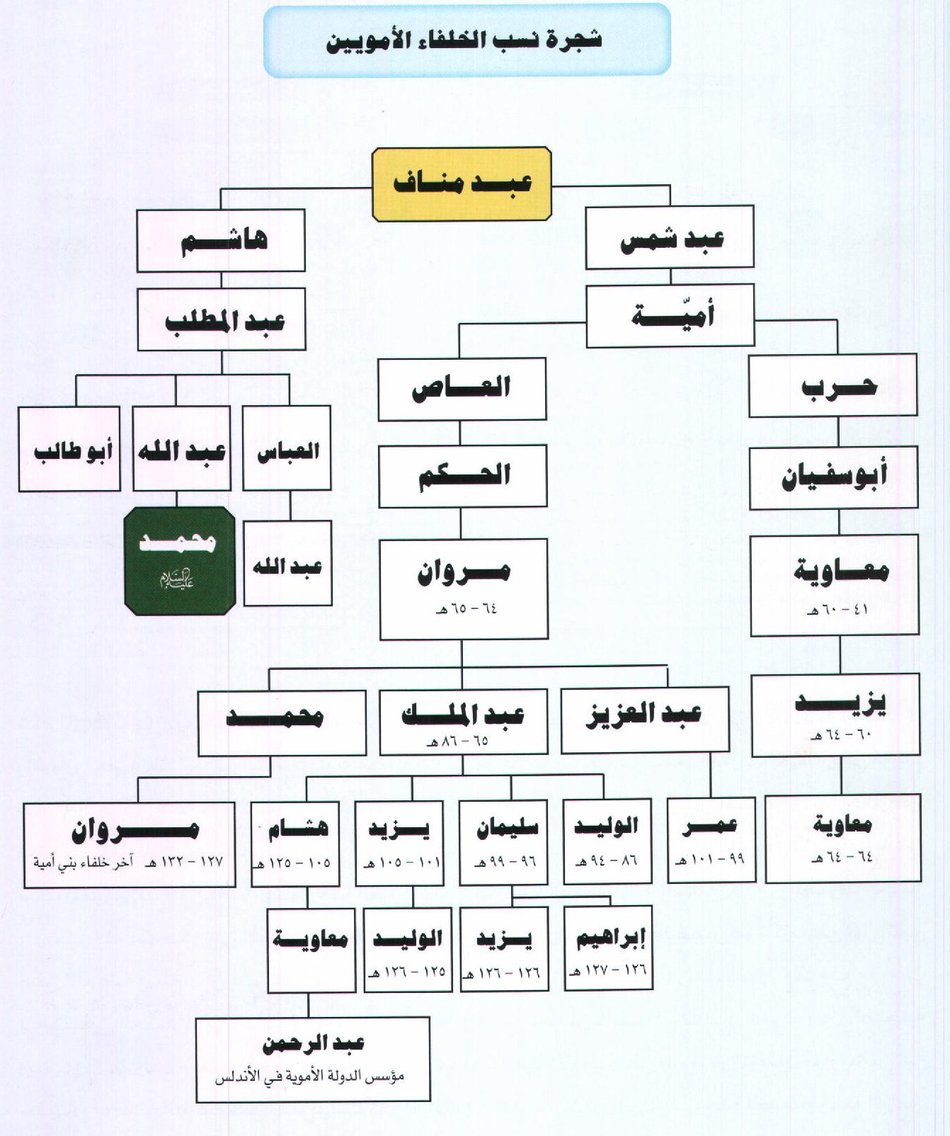 شجرة بني امية 