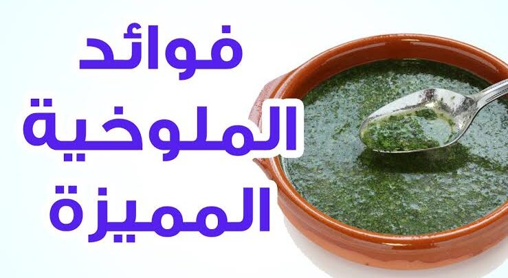 فوائد الملوخية المميزة