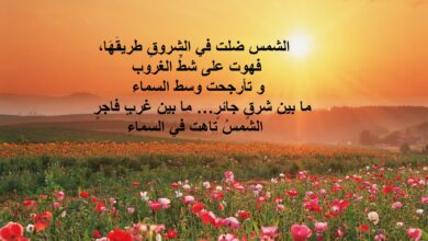 أبيات شعر عن غروب الشمس.