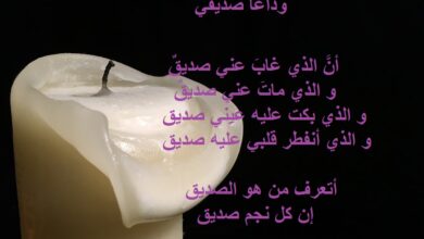 وداعا صديقي.