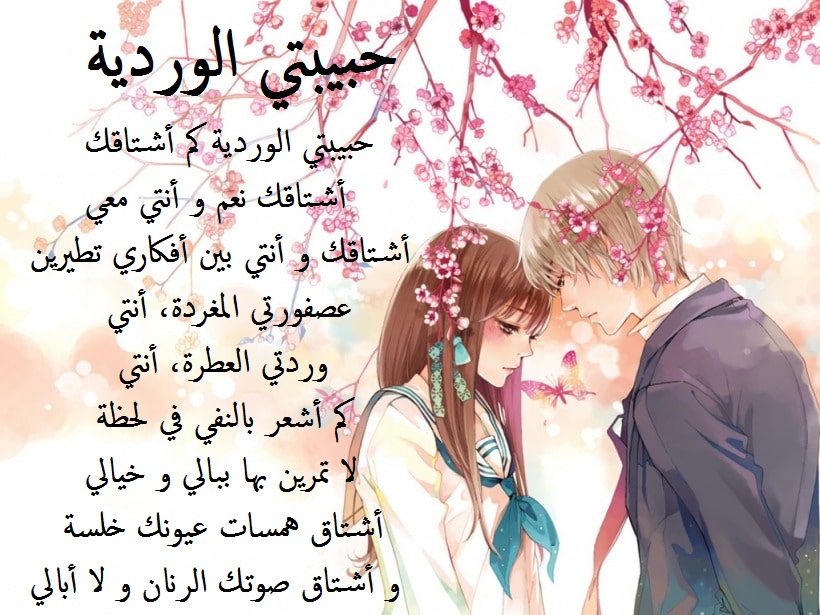 أبيات شعر حب روعة.