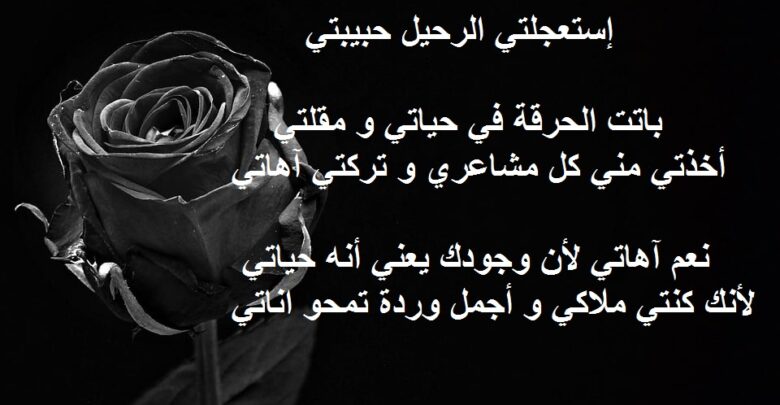 شعر وداع الحبيب