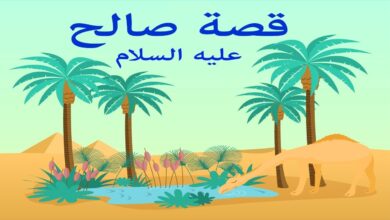 قصة النبي صالح عليه السلام