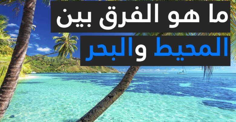 معلومات عن البحار والمحيطات