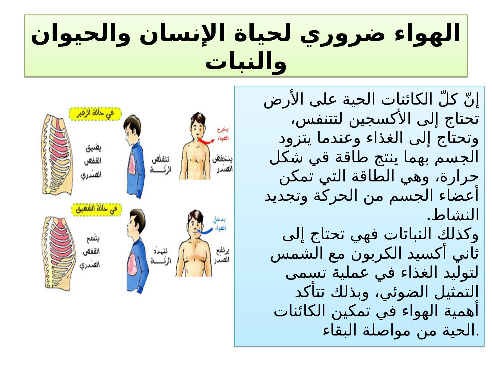 الهواء للإنسان والحيوان والنبات