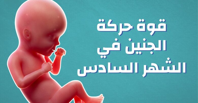 قوة حركة الجنين في الشهر السادس