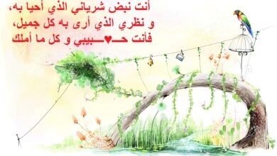 كلمات عشق قصيرة.