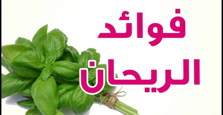 اهمية الريحان