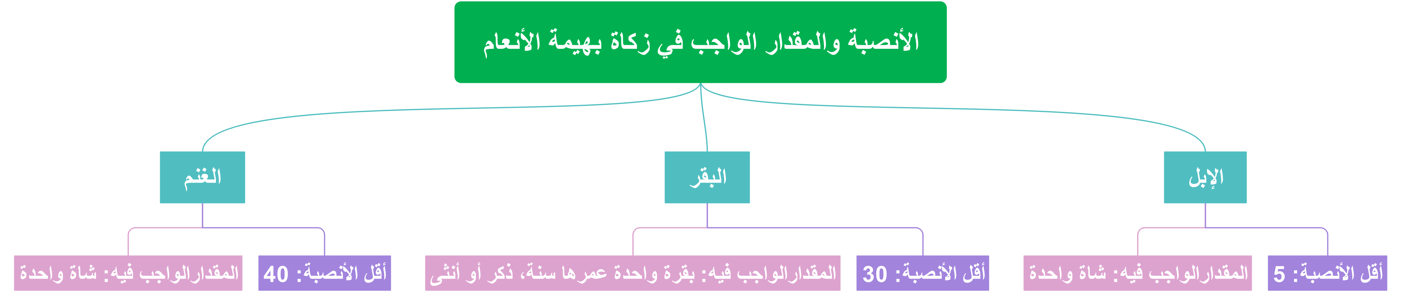 إسلاميات