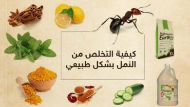 طرق فعالة