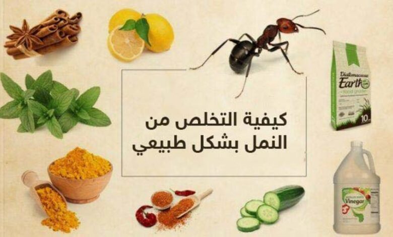 طرق فعالة