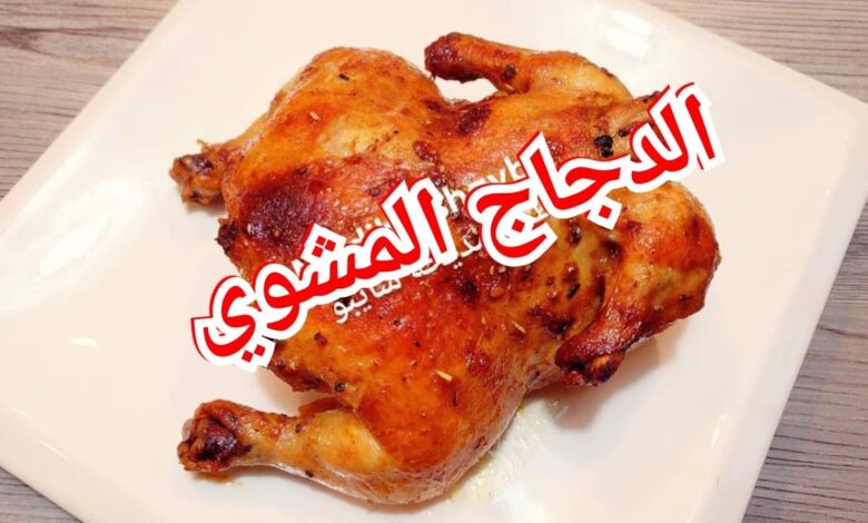 الدجاج