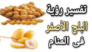 تفسير الأحلام