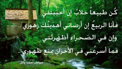 شعر حب قصير