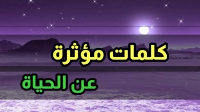 كلمات