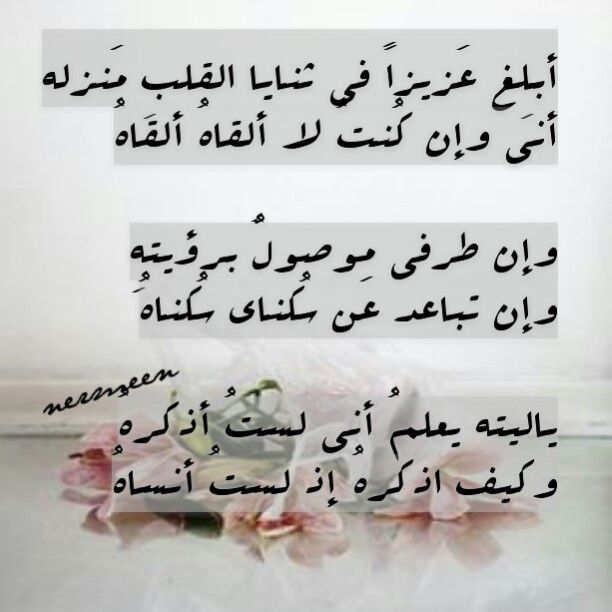 أبيات شعر حب