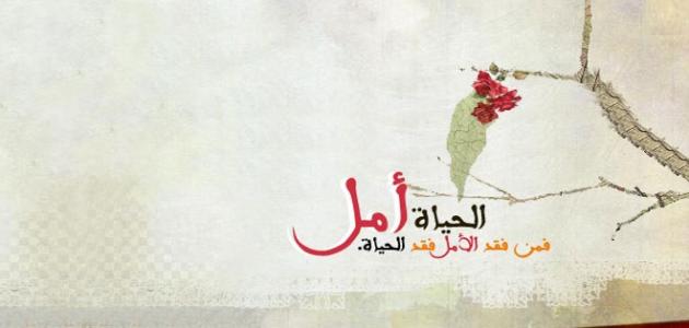 عبارات جميلة عن الحياة