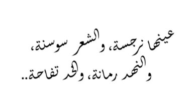 شعر غزل وعشق