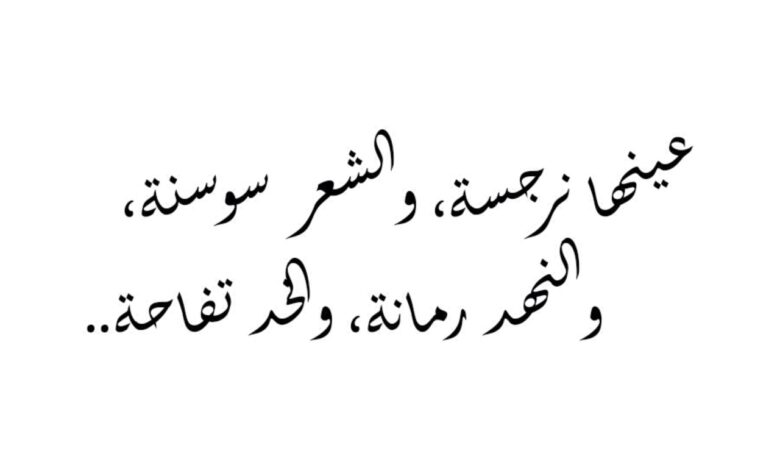 شعر غزل وعشق