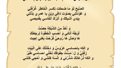 أبيات شعر حب و غزل مكتوبة.