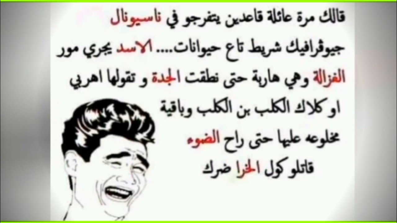 نكت جزائرية مضحكة