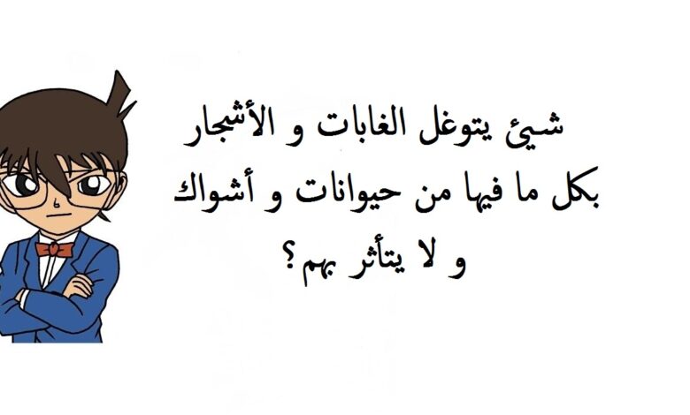 اسئلة و إجابتها مصورة.