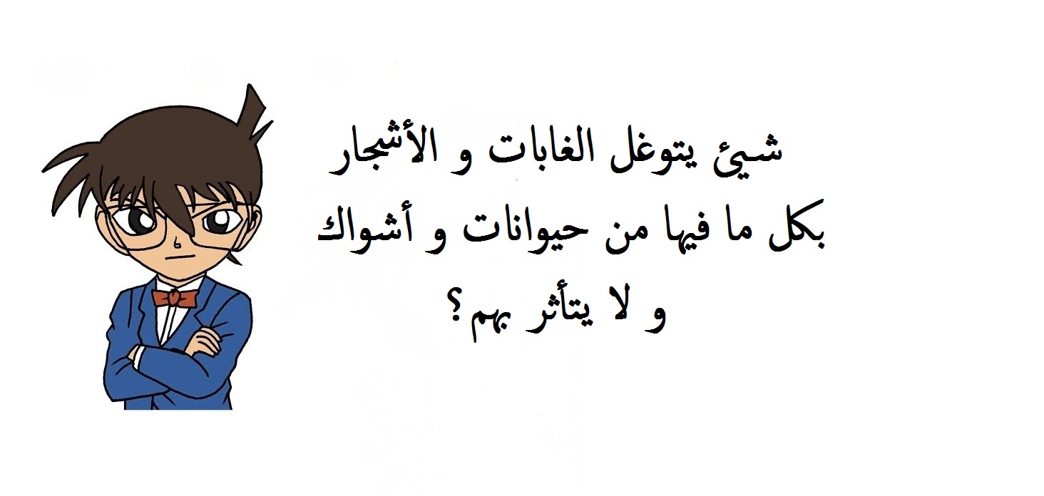 اسئلة و إجابتها مصورة.