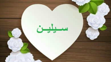 اسم سيلين داخل قلب.