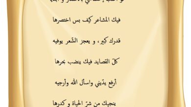 شعر قصير مدح.