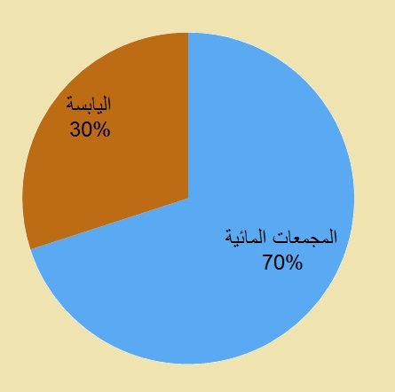 دائرة