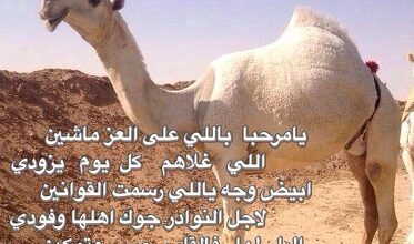 شعر بدوي