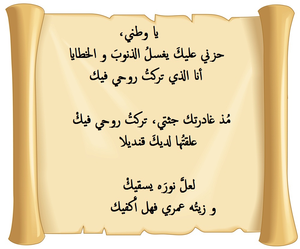 أبيات شعر في حب الوطن.